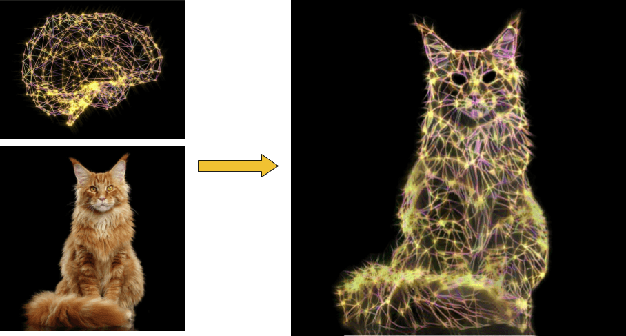 Tout bon article de Deep Learning se doit d’avoir une image de chat et une image de cerveau. Nous faisons ici d’une pierre deux coup