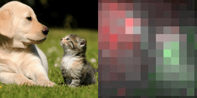 Ces zones de l’image ont été reconnues comme étant un chien (en rouge) ou un chat (en vert)