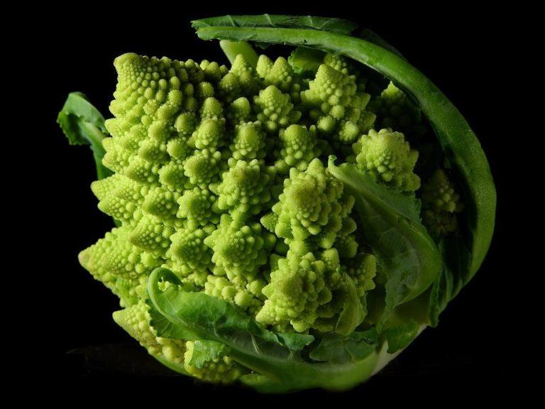 Un chou Romanesco