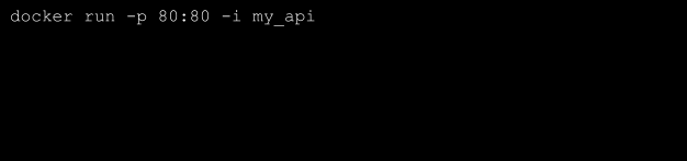 docker run api