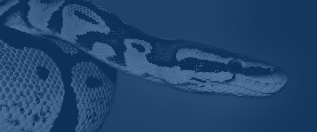 Dash : l’outil idéal pour créer une web App avec Python - Saagie